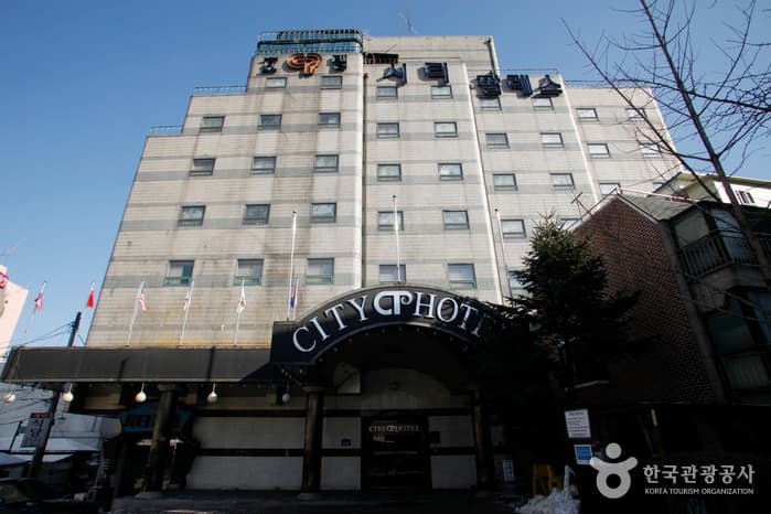 City Pales Hotel(시티 팔레스 관광호텔)