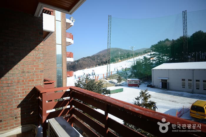 베어스타운 유스호스텔_테라스