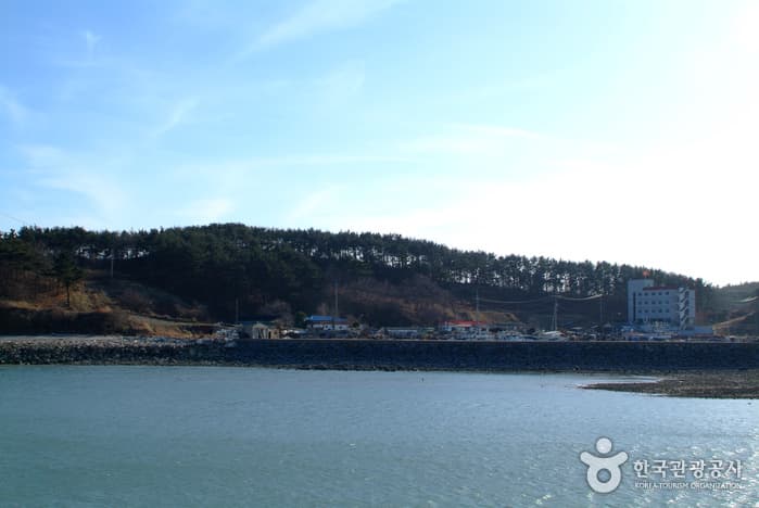 신진도02