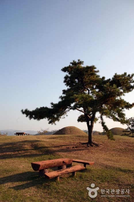 경남_함안 말이산고분군 12