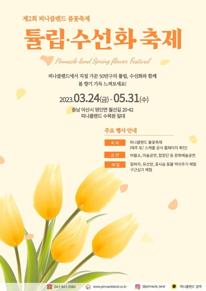 Pinnacleland 郁金香/水仙花庆典（피나클랜드 튤립/수선화 축제）