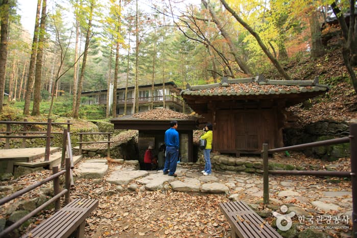 그 길에서 위안을 얻다