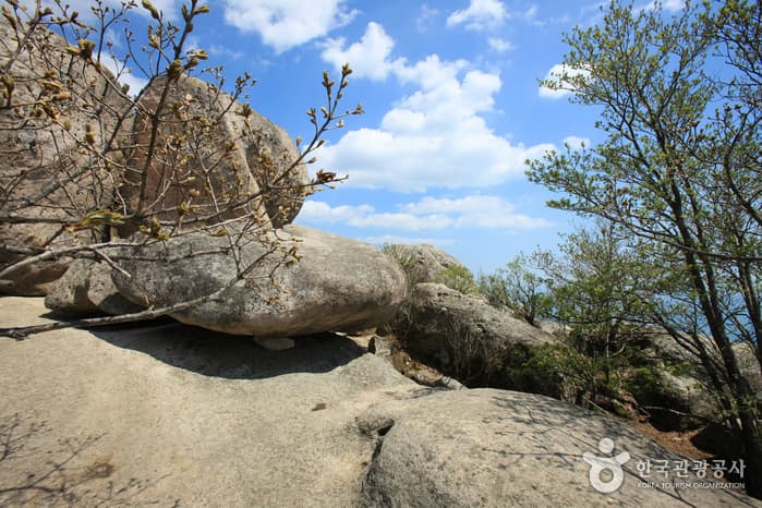 경상남도_남해군_남해 금산_067