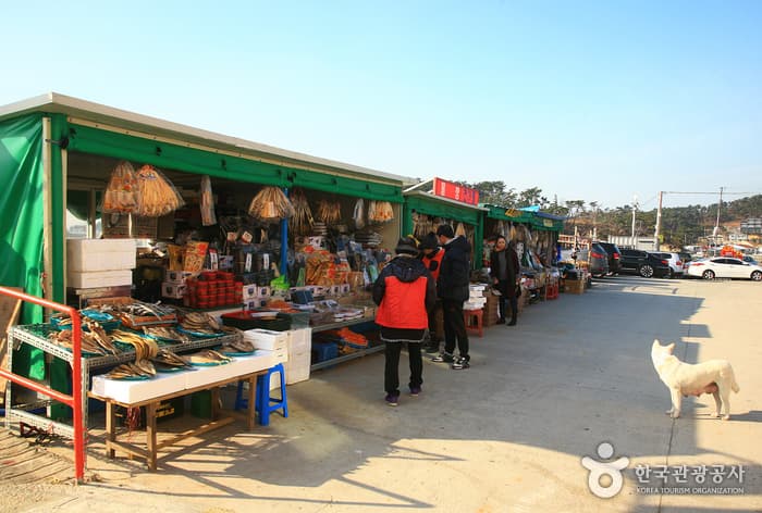 충남_태안_차분한 휴식 같은 시간, 신진도에서 즐기는 하루08