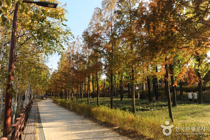 Seonyudo Park (선유도공원)