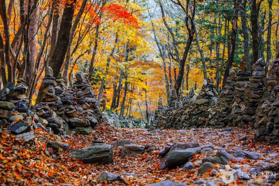 노추산 모정탑길 (6)