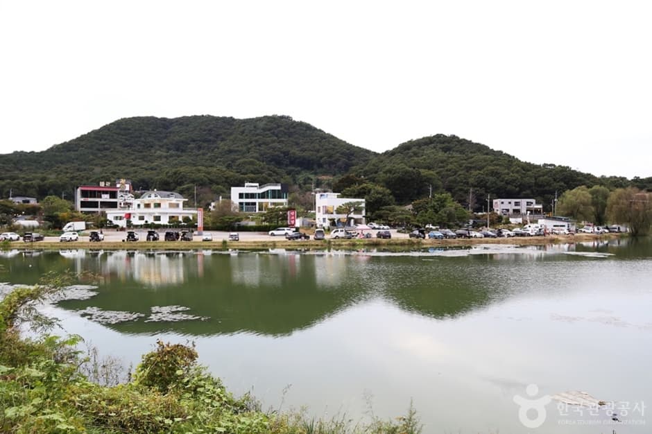 물왕호수 (9)