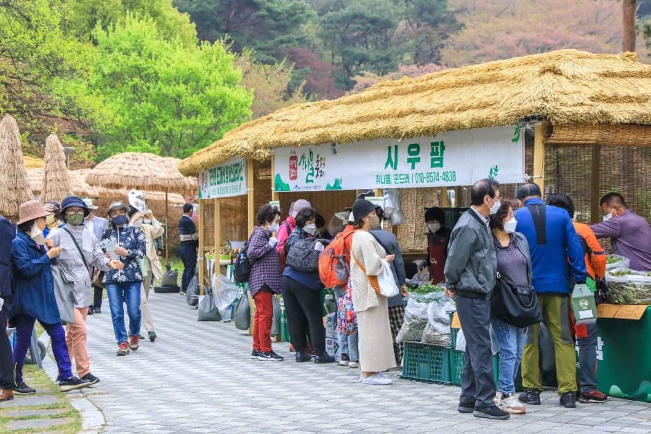 2024 양평 용문산 산나물축제 이미지 18