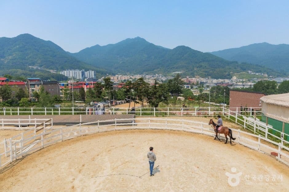 비스타밸리