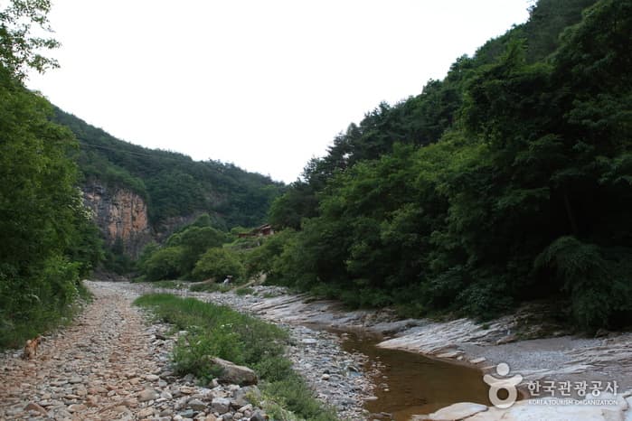 정선덕산기트레킹18