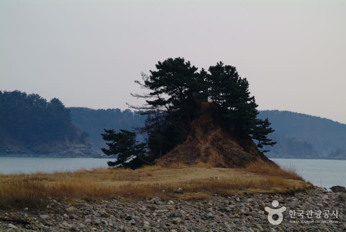 의항해수욕장_19