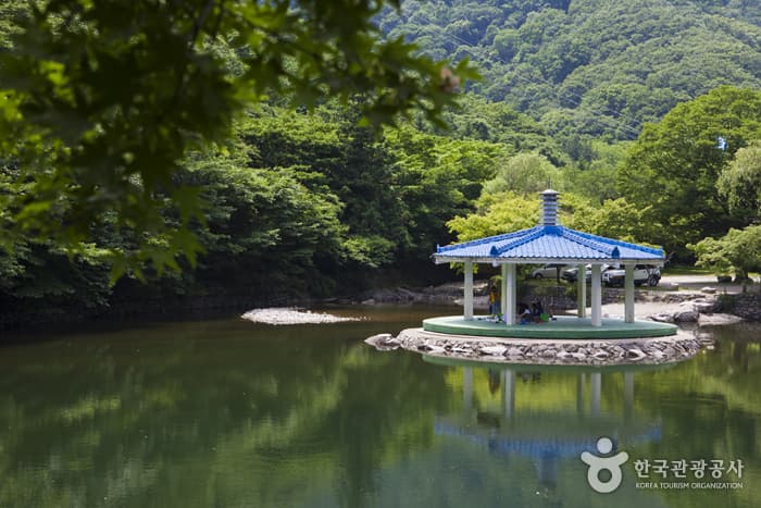 전북_정읍_케이블카 타고 내장산 풍경 보고 원적계곡트레킹으로 자연을 탐한다06