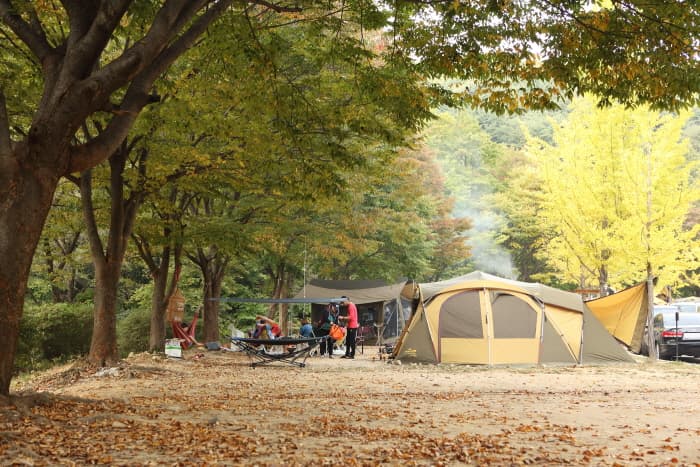 호젓해서, 너무 호젓해서 좋은