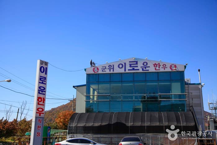 경북_군위_군위이로운한우01