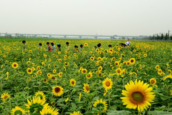 대저생태공원_06