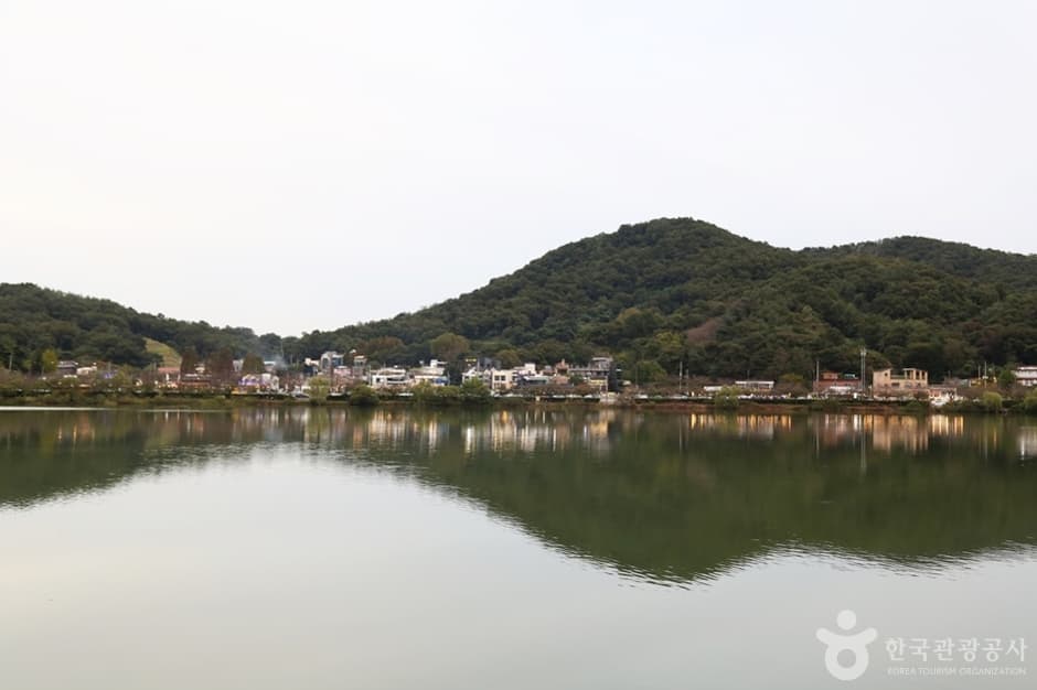 물왕호수 (12)