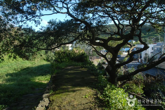 충청수영성