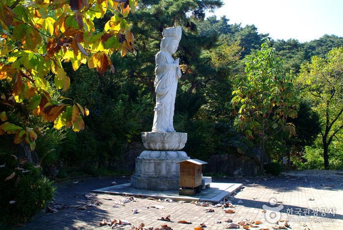 원주 행구동의 호젓한 카페길 코스