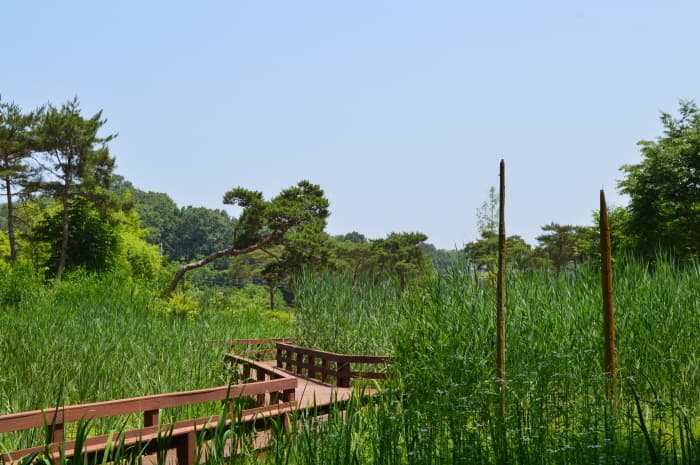 식장산 문화공원_3