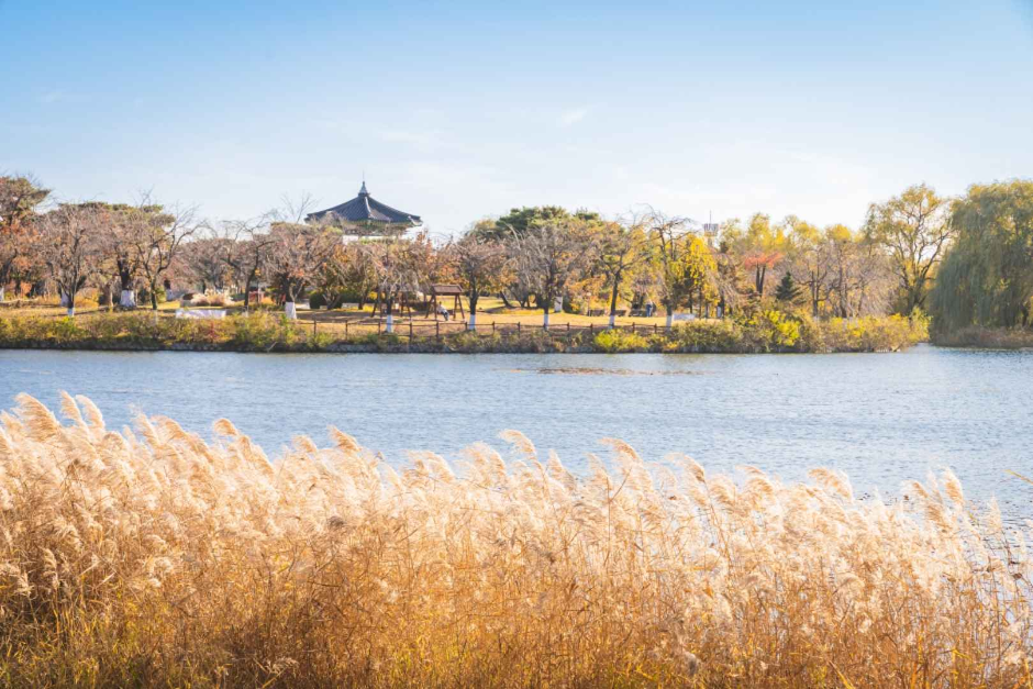일산호수공원 (5)