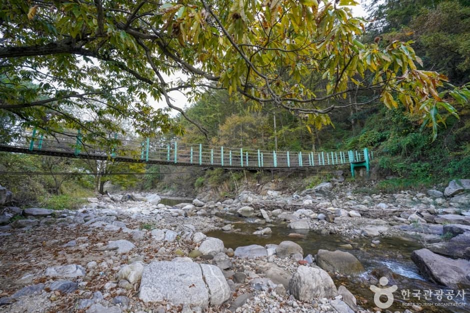 경북_예천_예천 출렁다리마을 (4)