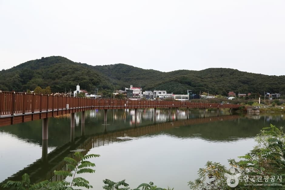 물왕호수 (14)