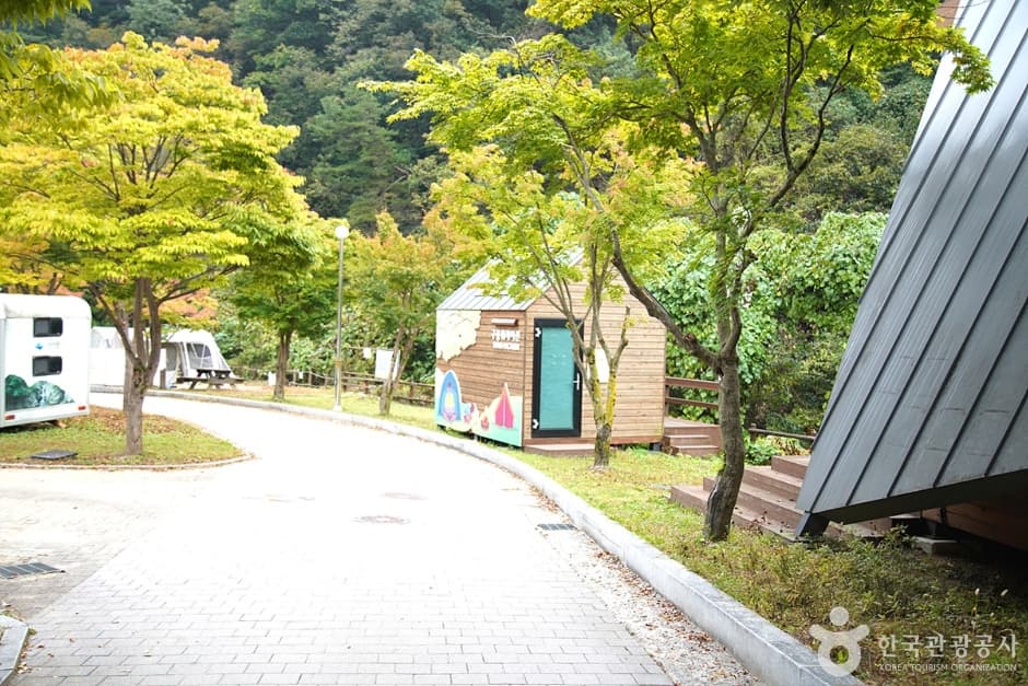 치악산 구룡자동차야영장 (6)
