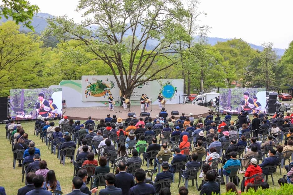 2024 양평 용문산 산나물축제 이미지 20