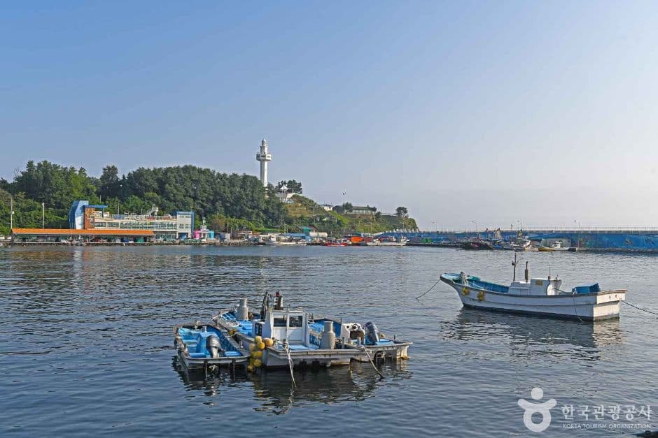 대진항 (2)