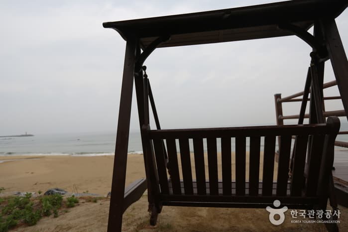 강원도_강릉_금진해변02