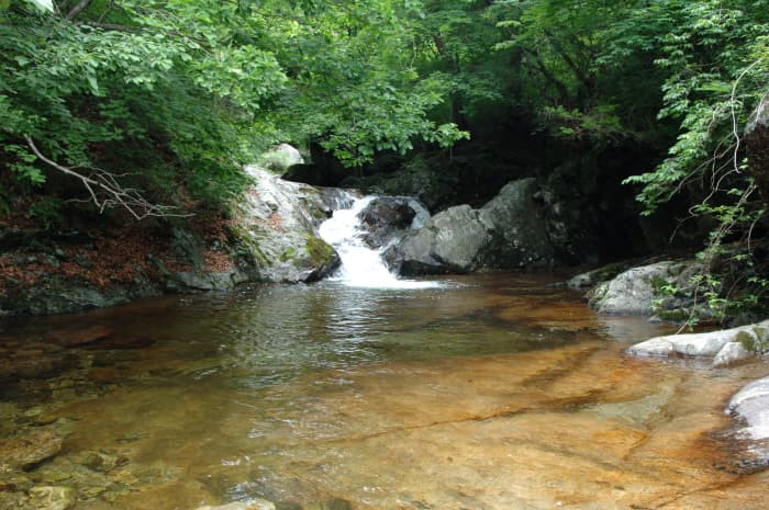 Jukgyegugok Valley (죽계구곡)