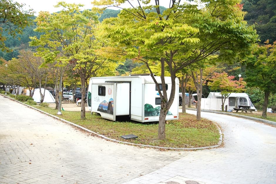 치악산 구룡자동차야영장 (7)