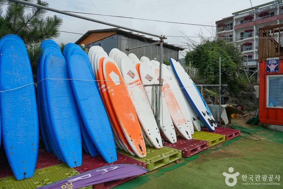AR 서프(AR SURF) (13)