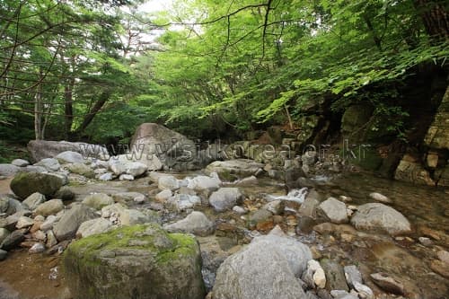 경상북도_성주군_대가천계곡(무흘구곡)_050