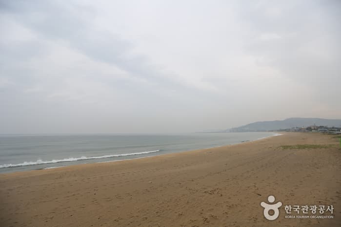 강원도_강릉_금진해변05