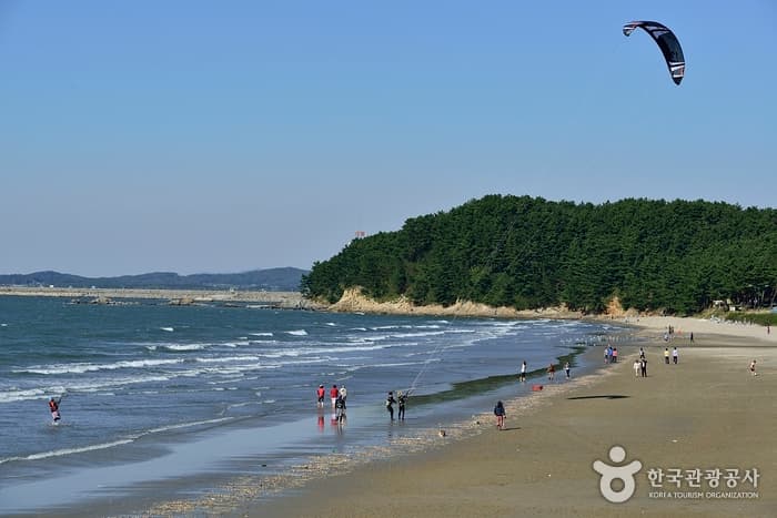 해송숲에서 즐기는 캠핑여행
