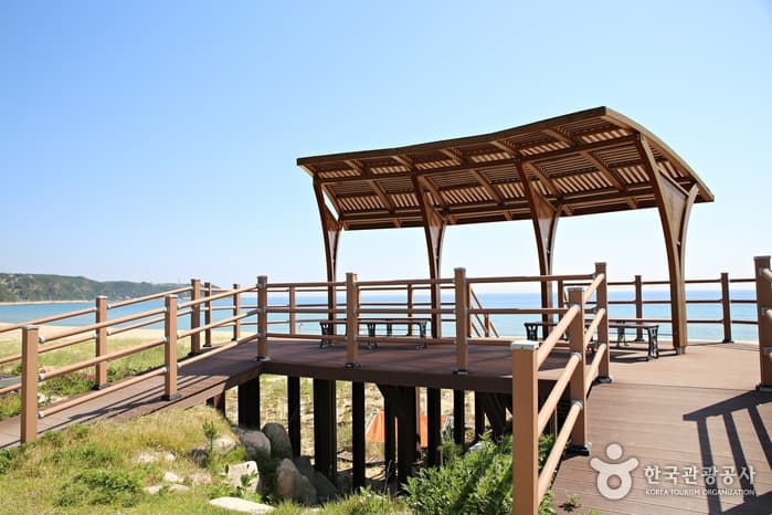 강원_강릉_동해안 최고의 숨은 비경, 강릉 헌화로 드라이브 코스05