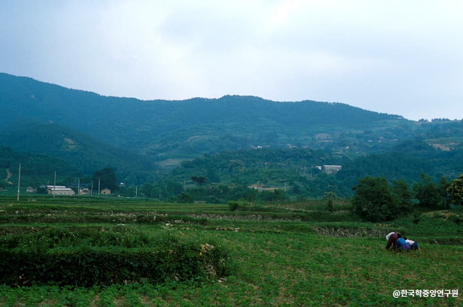 모악산(1)