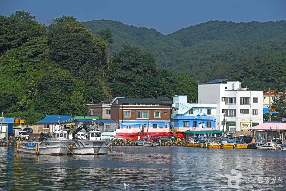 대진항 (4)