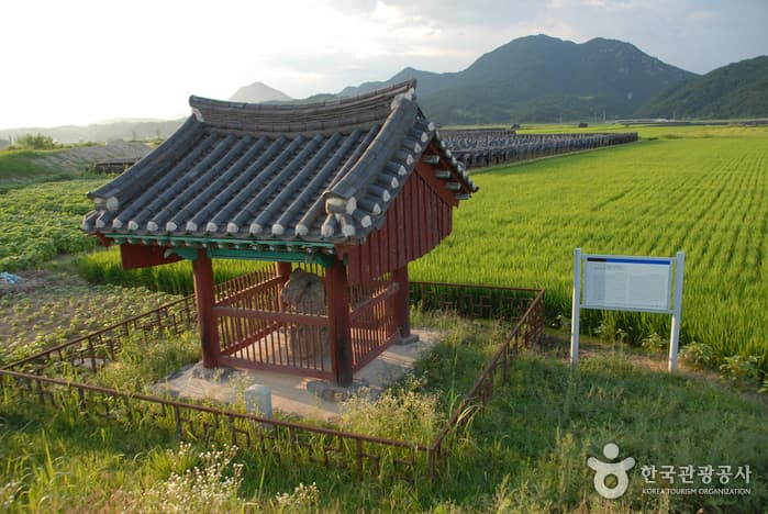 锦山川内里龙虎石(금산 천내리 용호석)