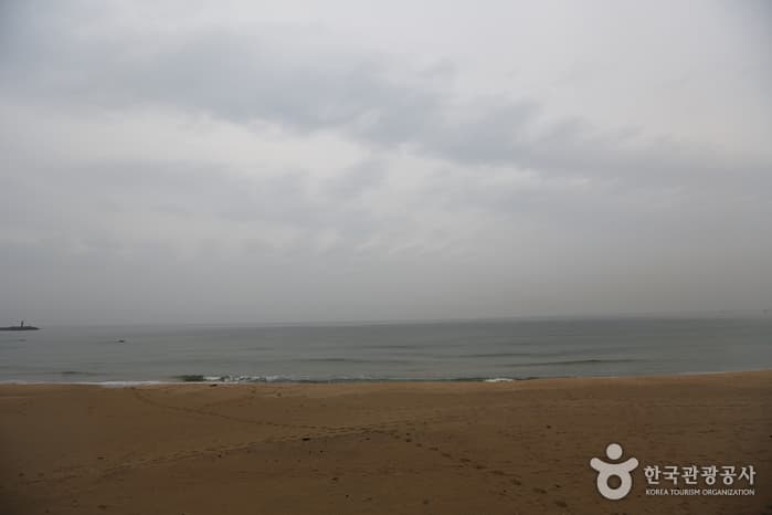 강원도_강릉_금진해변04