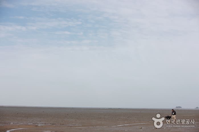 Ganghwa Janghwa-ri Tidal Flats and blackfaced spponbill breeding place (강화갯벌 및 저어새번식지)
