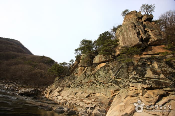 일사대(수성대)_08