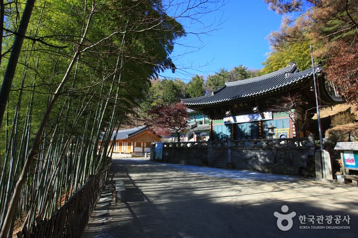 홍룡사_069