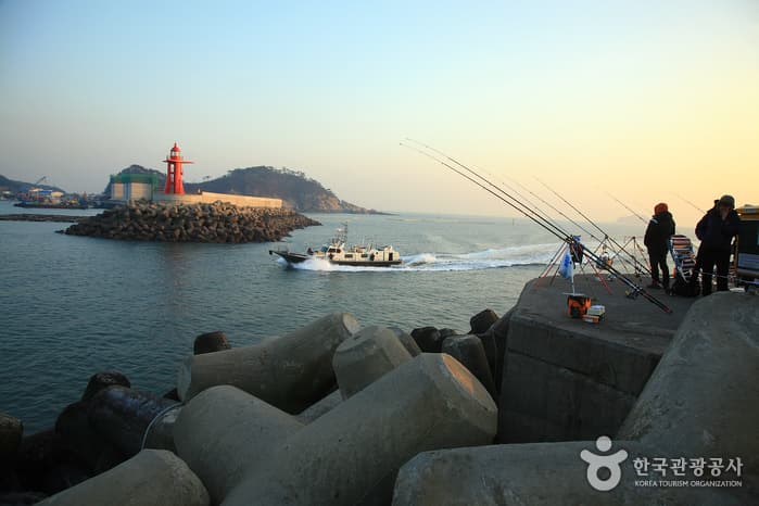 충남_태안_차분한 휴식 같은 시간, 신진도에서 즐기는 하루14
