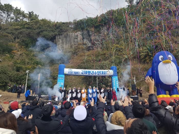 Seogwipo Penguin Swimming Festival (서귀포 겨울바다펭귄수영대회)