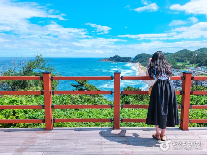 Deokbongsan  Coastal Eco-trail (덕봉산 해안생태탐방로)