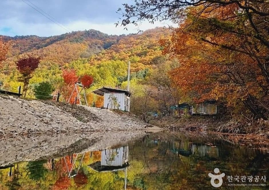 풀무산캠핑장