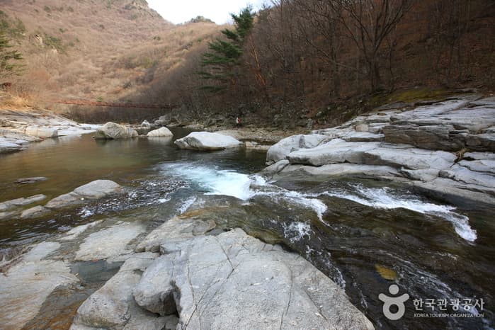 일사대(수성대)_09