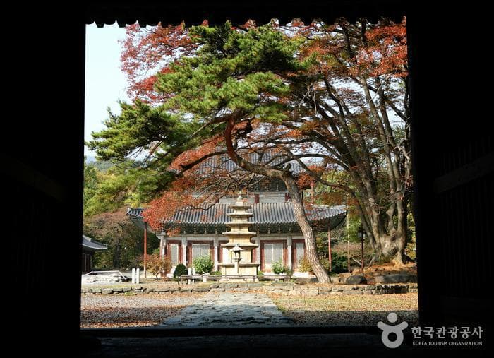 충남_부여_부여 무량사04